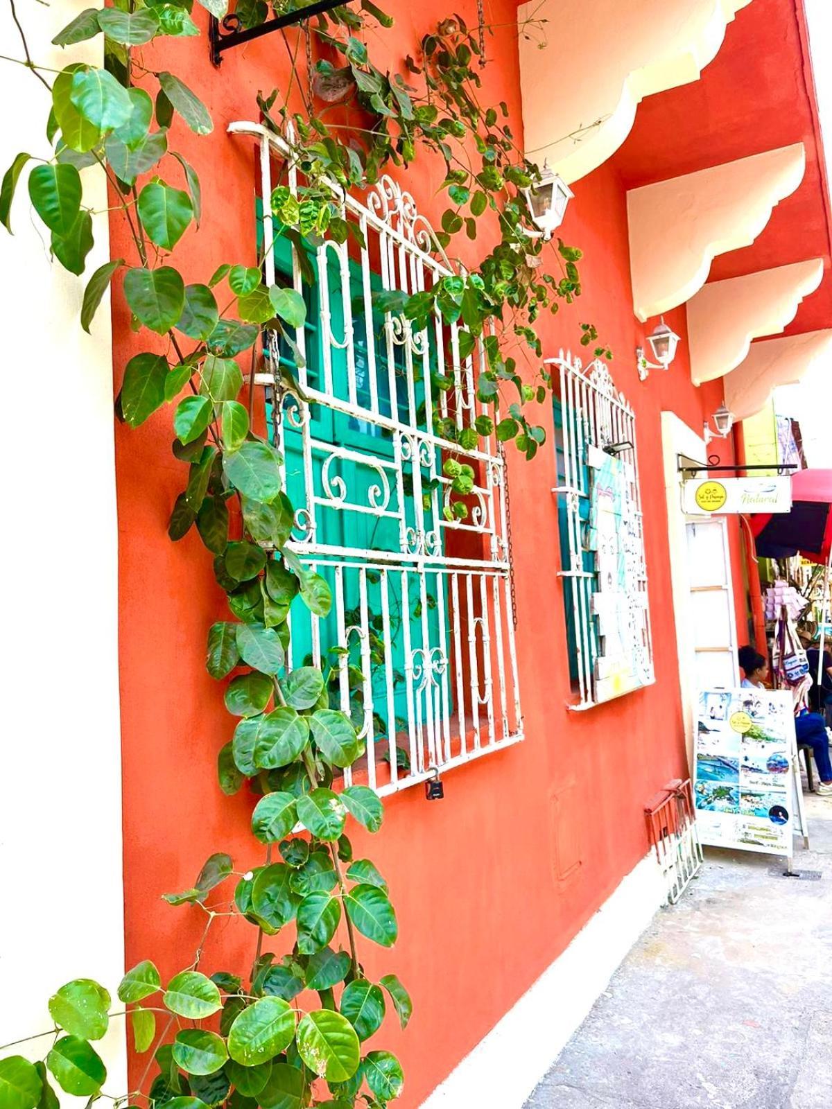 La Viduka Hostal
